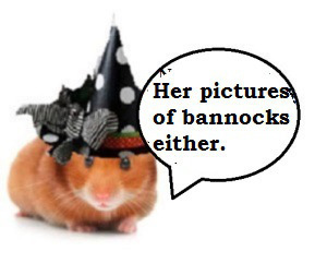 zbeark----