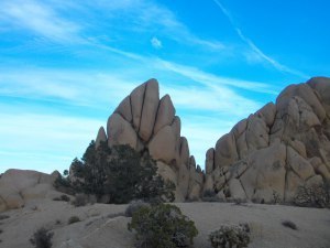 purifoy joshua tree 29 palms nov 18.19.2014 079