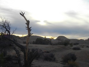 purifoy joshua tree 29 palms nov 18.19.2014 073
