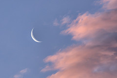 Sliver Moon Sunrise II
