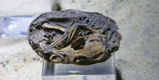 Screen Shot 2012-12-26 at 10.06.25 AM