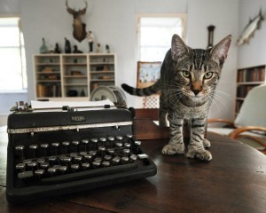 Hemnigway_cats_Key_West
