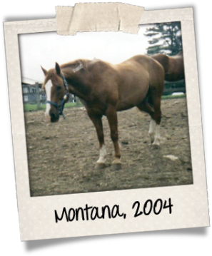 Montana polaroid 2004