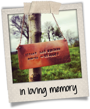 Marley polaroid plaque