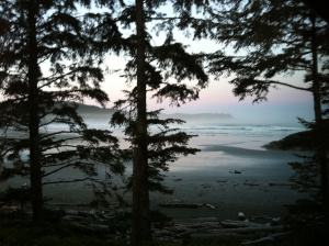 This is not a picture of fairy dust. But it is a picture of magic. My kind of magic.