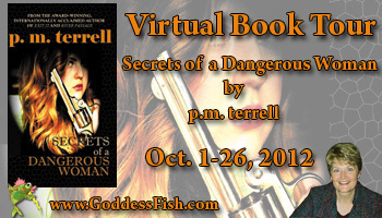 VBT Secrets of a Dangerous Woman Banner