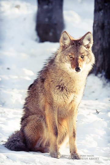  photo tumblr_nbz1prOsDI1qifqv6o1_1280_zps88372f94.jpg