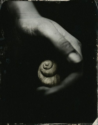  photo seashellinhand.jpg