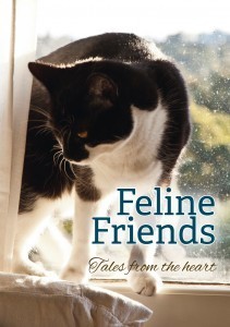 Feline_Friends