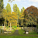 Autumn in Brockley Cemetery 6