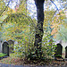 Autumn in Brockley Cemetery 10