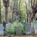 Autumn in Brockley Cemetery 11