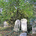 Autumn in Brockley Cemetery 12