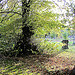 Autumn in Brockley Cemetery 14