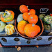 Pumpkins and squashes, Brockley