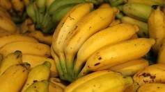 Bunches of bananas