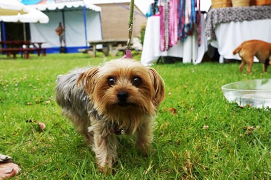 MalibuArtFest14-Fireball_Tim