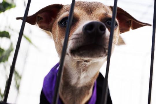 MalibuArtFest3-Fireball_Tim