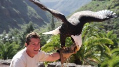 A handler with an eagle. Can you own a lifeform?