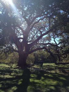 Comfort, Texas
