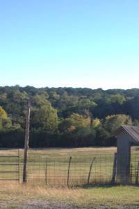 countryside