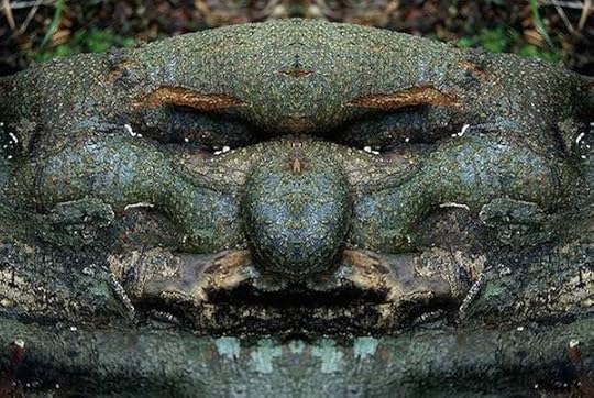 Elido Turco tree portrait