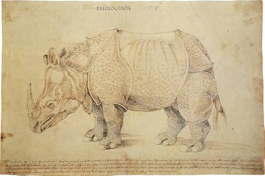 Durer_drawing