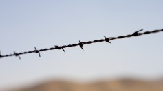 Barbed wire, symbolizing blockade