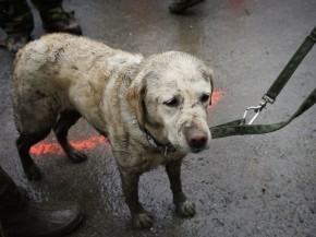 Rick Wilking/AP Photo