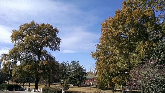 A beautiful fall day in Memphis