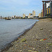 Looking north from the shore of the Thames