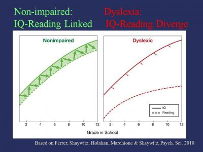 dyslexia iq graph