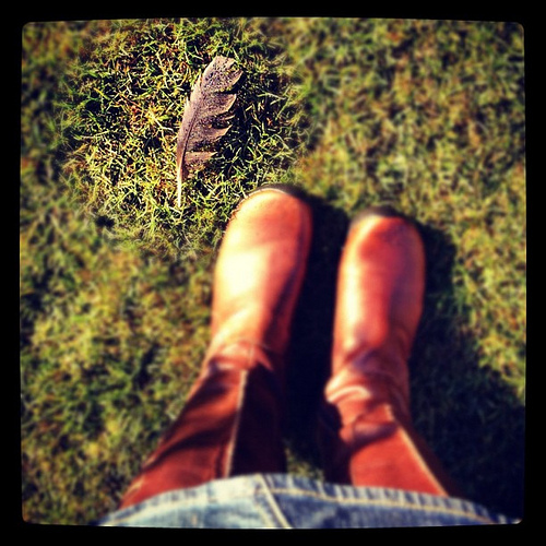 Found this feather in my yard today. Made me think of you @hannahmarcotti