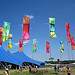 Floating flags at WOMAD