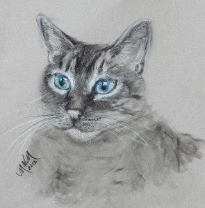 cat_portrait