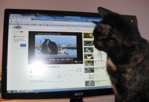 cat_with_computer