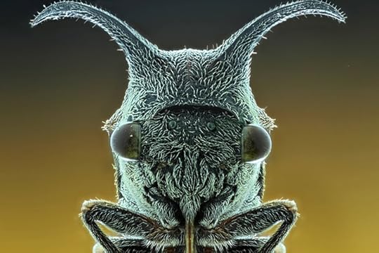 553012_438811596205457_155237134_n