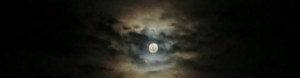 cropped-eerie-moon.jpg