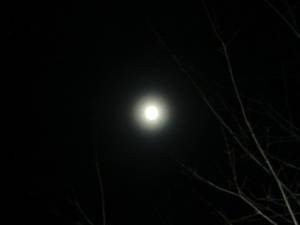 1560563_481092325334220_1390160152_n