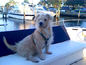 Danny goes for a swim