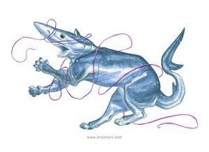 Blue-SharkCat-BrynnMetheney