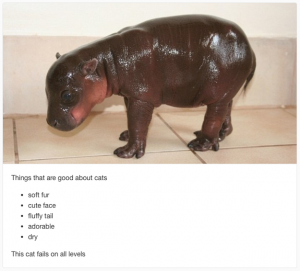 Worst cat