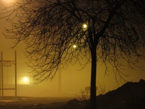 IMG_0658