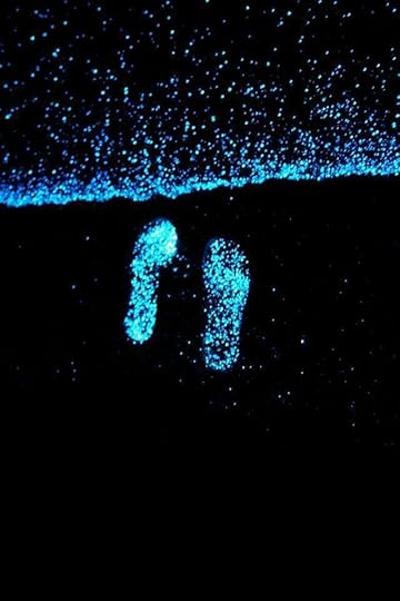 %inspirational quotes