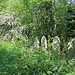 A row of graves, Camberwell Old Cemetery