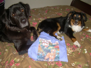 canine kids with Villa Dog