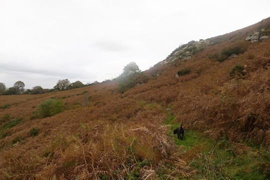 Nattadon Hill 2