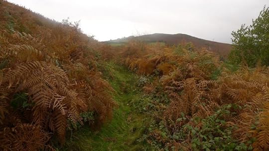 Nattadon Hill 5