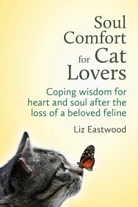 Soul_Comfort_for_Cat_Lovers