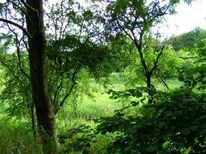 BILD0041